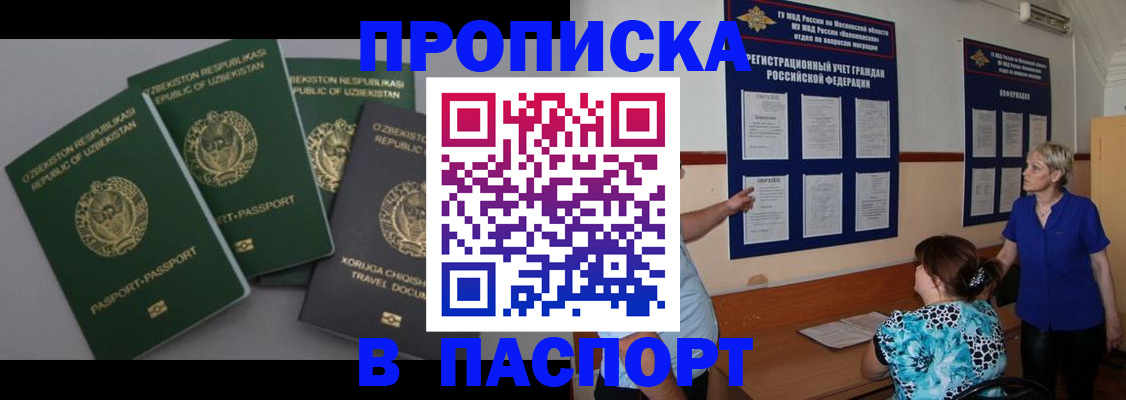 купить прописку в Новосибирской области